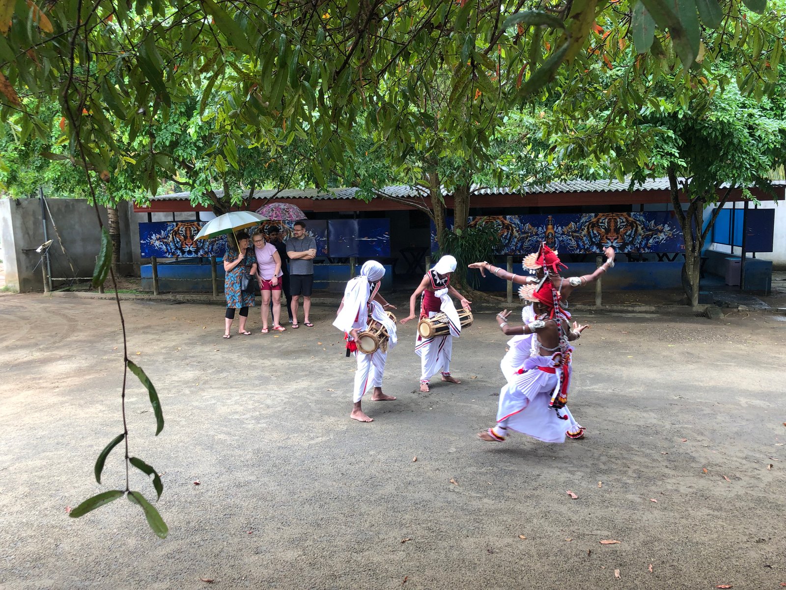 Welcome to Dimbulagala